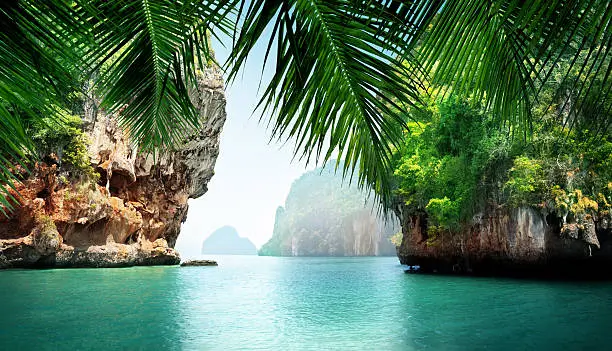 Tropical Thailand